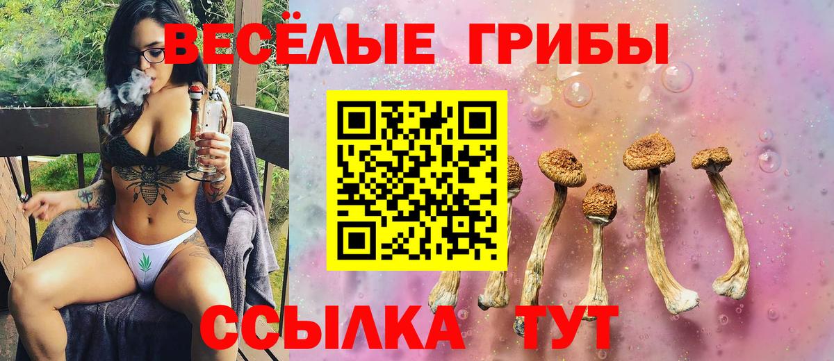 Галлюциногенные грибы ЛСД  Вход с VPN  Мытищи 