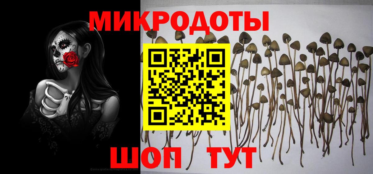 Псилоцибиновые грибы мухоморы Мытищи